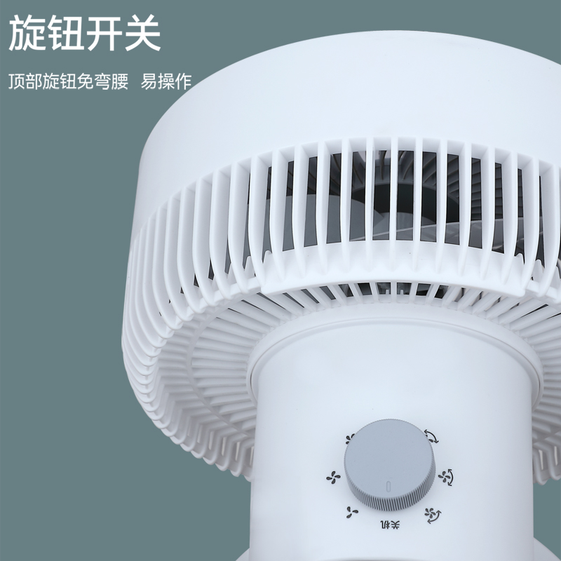 艾青春(AIYOUth)空气循环扇 BW-DFS2102高清大图