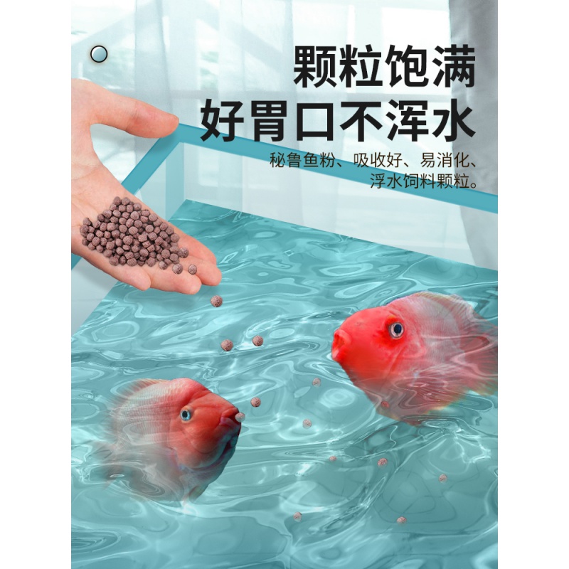 血鹦鹉鱼饲料增红增色热带观赏金鱼食发财鱼粮上浮地图红罗汉鱼料高清大图
