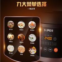 苏泊尔（SUPOR）智能电炖锅 煲汤锅 煮粥电砂锅 bb煲陶瓷煲 炖肉锅 5L大容量 中华炽陶釜 DG50YC12
