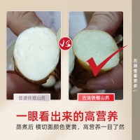 张宝山升级版铁棍怀山药粉600g/罐河南焦作正宗怀山药早餐代餐粉即冲即饮
