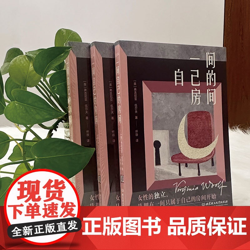 一间自己的房间刷边版 聪明女生的独立方式 从拥有一间自己的房间开始一部激发女性精神觉醒的心灵之书 世界名著小说高清大图