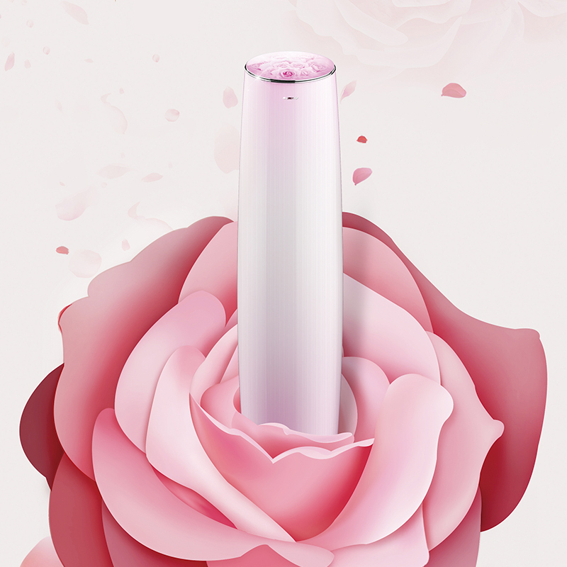 空调>格力(gree)>格力(gree)kfr-50lw/(50593)fnhaa玫瑰2匹冷暖变频1