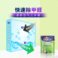 多乐士(Dulux)A742+A748 致悦竹炭抗甲醛净味全效 油漆涂料 内墙乳胶漆 墙面漆白色套装18L