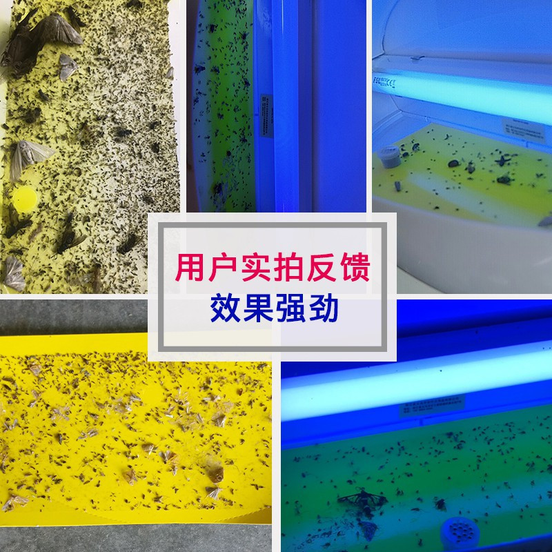商用紫外线灭蚊灯餐厅饭店壁挂电驱室内家用物理粘捕 三维工匠 白色+8W+送5张粘蚊纸(款)