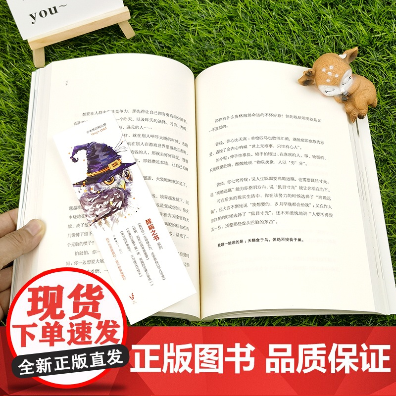 好看的皮囊千篇一律有趣的灵魂万里挑一+世界那么大我要去看看(全2册)老杨的猫头鹰作品“醒脑之书”系列之三写给年轻人的正能高清大图