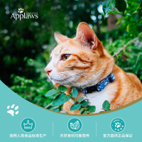 爱普士Applaws 鸡肉慕斯猫罐头70g