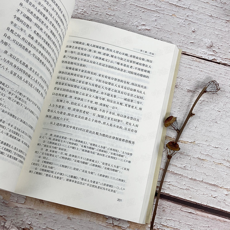 [正版]中法图 中国法律与中国社会 瞿同祖 商务印书馆 中华现代学术名著 家族婚姻阶级 儒家思想 法家思想 社会史法律高清大图