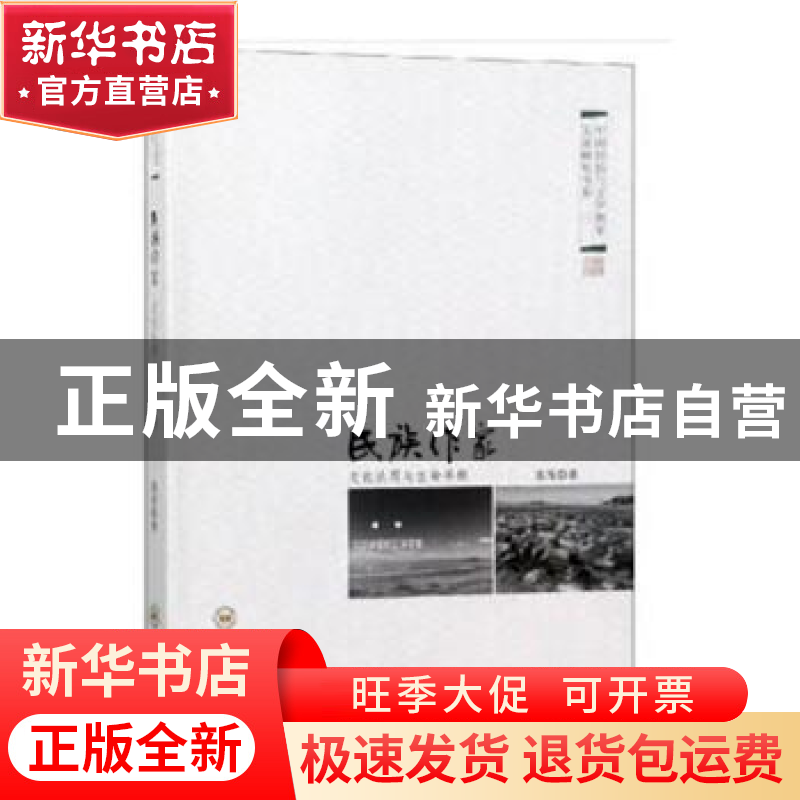 正版 民族作家:文化认同与生命寻根:文学湘军的江华现象 聂茂 中高清大图