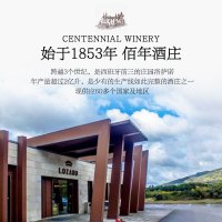 西班牙原瓶原装进口达颜经典脱醇赤霞珠红葡萄酒750ml*6商务婚宴应酬挡酒