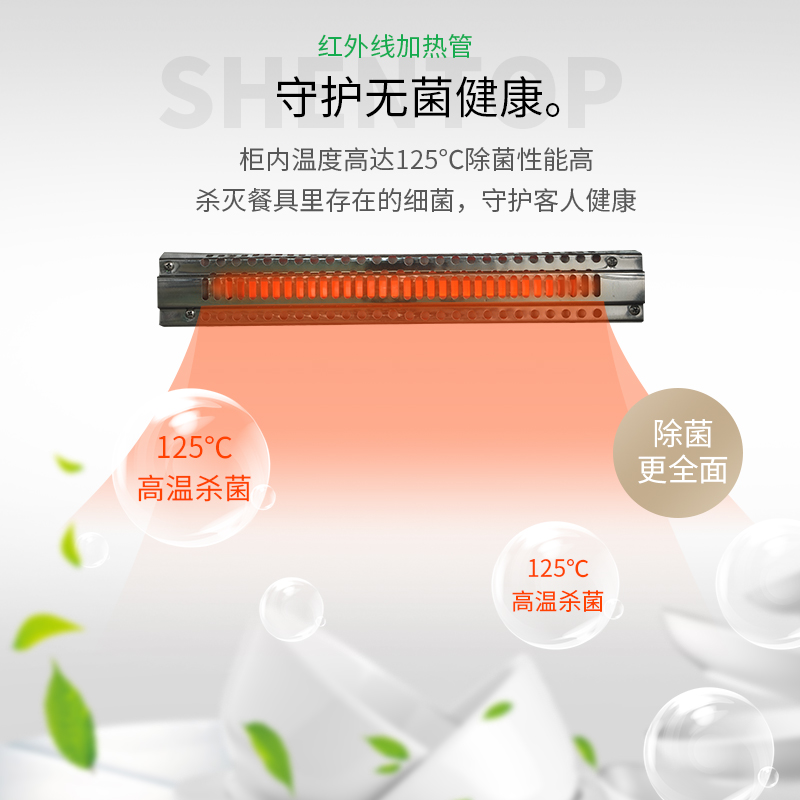 圣托(Shentop)热风循环餐具消毒柜 商用立式双门高温消毒碗柜 酒店饭店厨房保温柜 RTD1000-B6高清大图