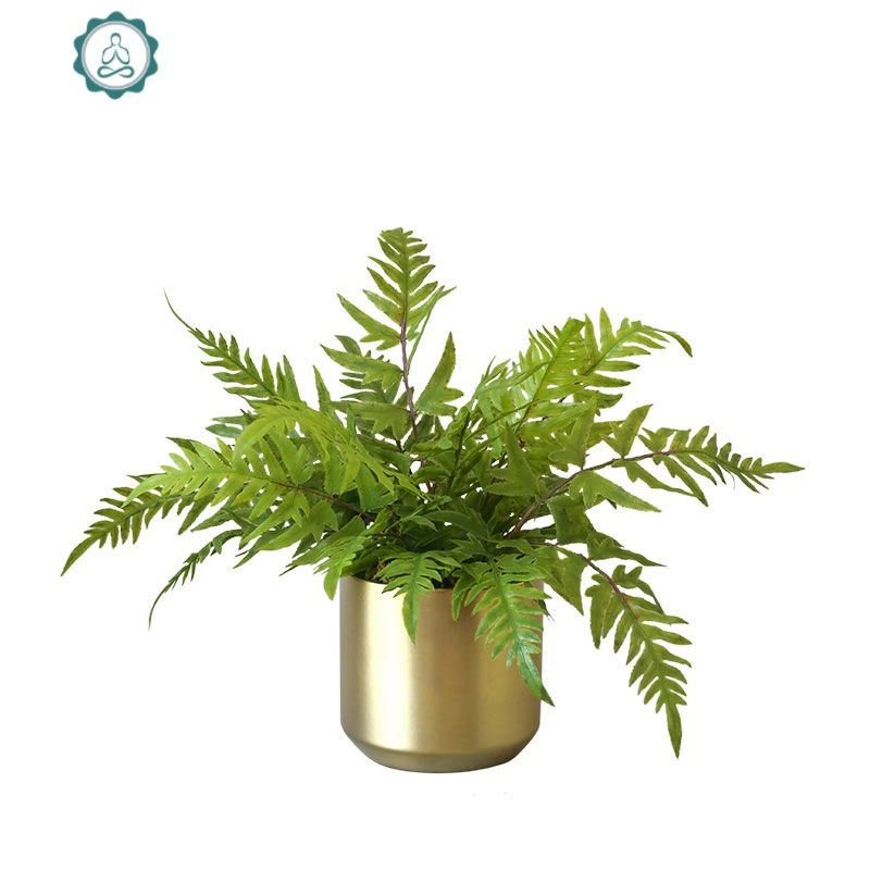 客厅仿真绿植植物假花仿真花铁线蕨凤尾蕨小盆栽套装摆件 封后 纽扣蕨(大号竖纹瓶)仿真植物