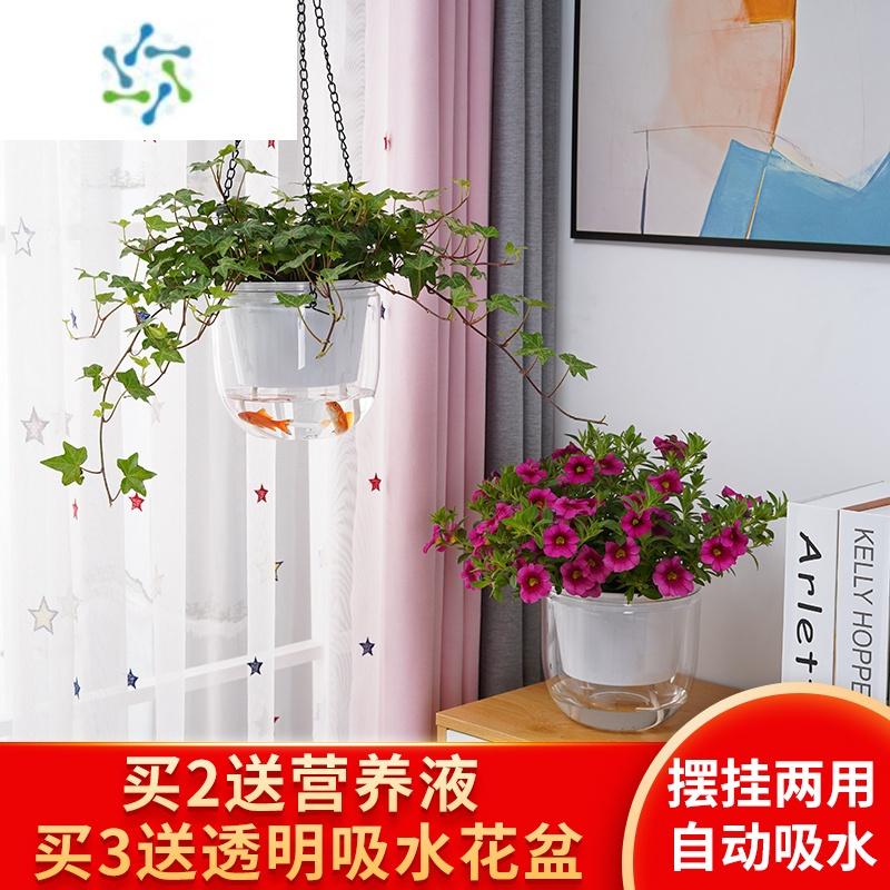 三维工匠懒人自动吸水花盆透明吊盆花盆悬挂式垂吊绿萝室内水培大号绿萝花盆容器