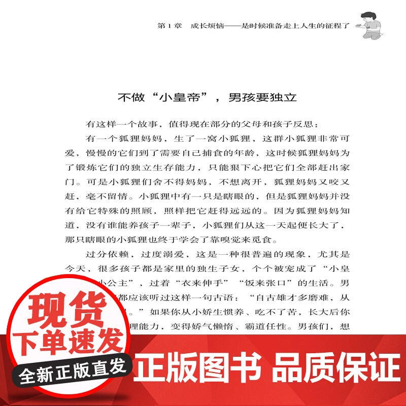 男孩心理成长枕边书(第2版) 桂宾 中国纺织出版社 正版书籍高清大图