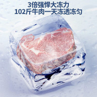 海尔(Haier)冰柜 429L 家用商用卧式大容量保鲜转换冷柜 节能大冻力 7档调温 BC/BD-429GHPT