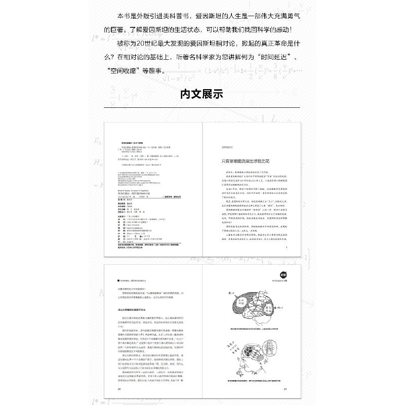 正版 科学的感动:爱因斯坦和相对论 茂木健一郎 广东人民出版社高清大图