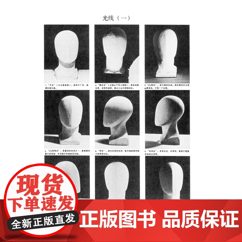 正版 路米斯经典美术课-人体素描 安德鲁路米斯 西方经典美术技法译丛 西方人体静物写生素描绘画美术艺术教程 上海人民美术高清大图