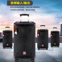 MALONE曼龙音响M-15 15寸三分频户外高端拉杆音响 防干扰 教学婚庆广场舞吉他弹唱乐队演出K歌音响 配两个话筒