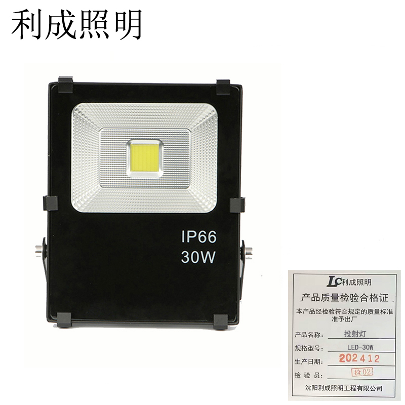 利成照明 投射灯 LED-30W高清大图
