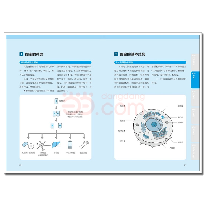 醉染图书漫画基础医学:读懂解剖生理学9787518428281高清大图