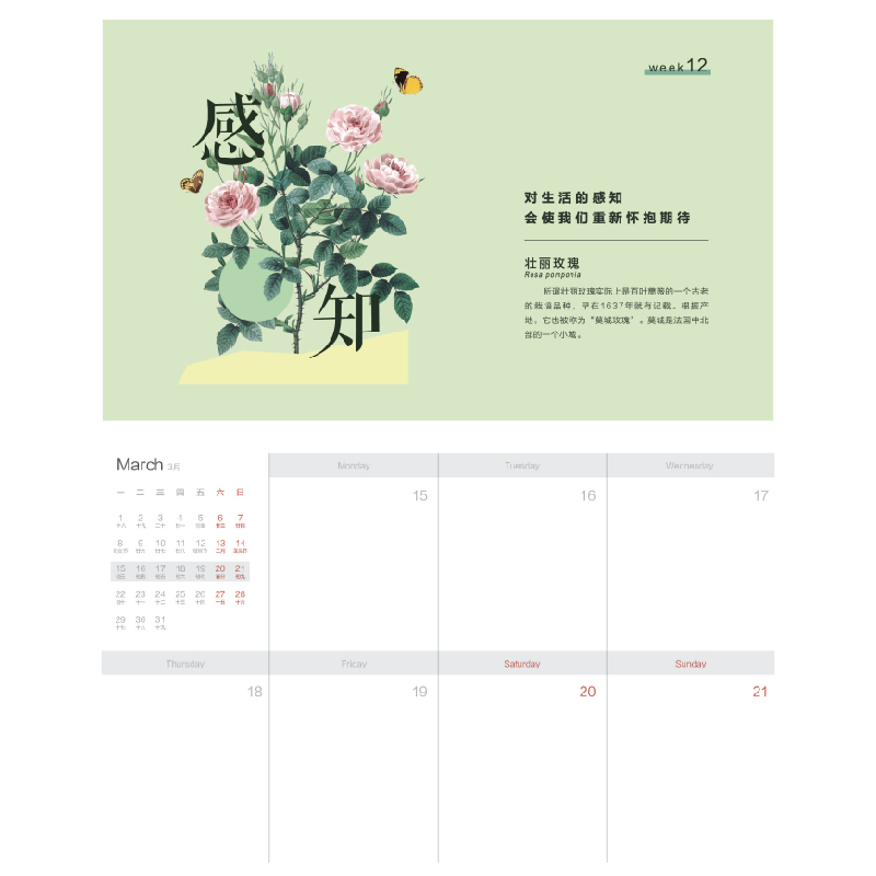 醉染图书自然即是美:2021周历9787301314937高清大图