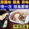 [去除尿骚味]狗狗除臭剂除味宠物消毒液杀菌去尿味香水宠物用品 宠物除臭喷雾[1瓶装]实惠装