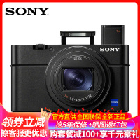 索尼(SONY)DSC-RX100M6 黑卡数码相机 黑卡6 专业卡片机 照相机 蔡司镜头 2010万像素 4K视频 WIFI分享 触摸对焦 Vlog视频拍摄