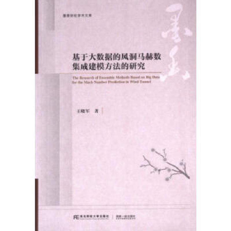 正版新书】基于大数据的风洞马赫数集成建模方法的研究王晓军著97