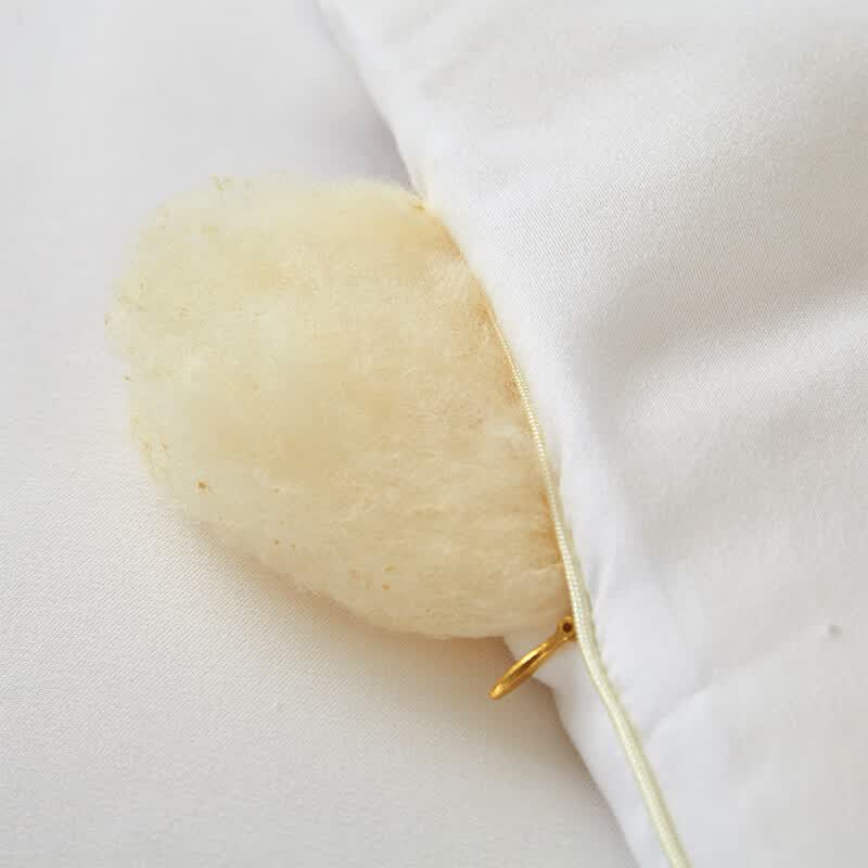 天琴伊棉大豆被TQ-B084 200x230cm高清大图