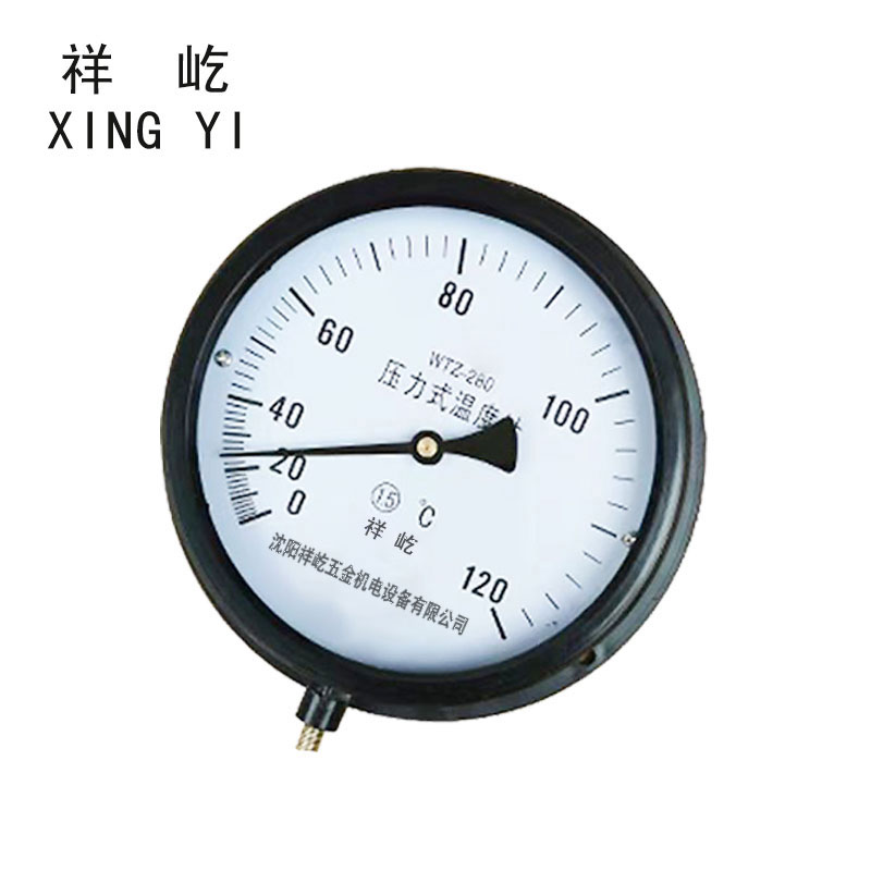 祥屹 压力式温度计定制检测款 WTZ280 120度 个高清大图