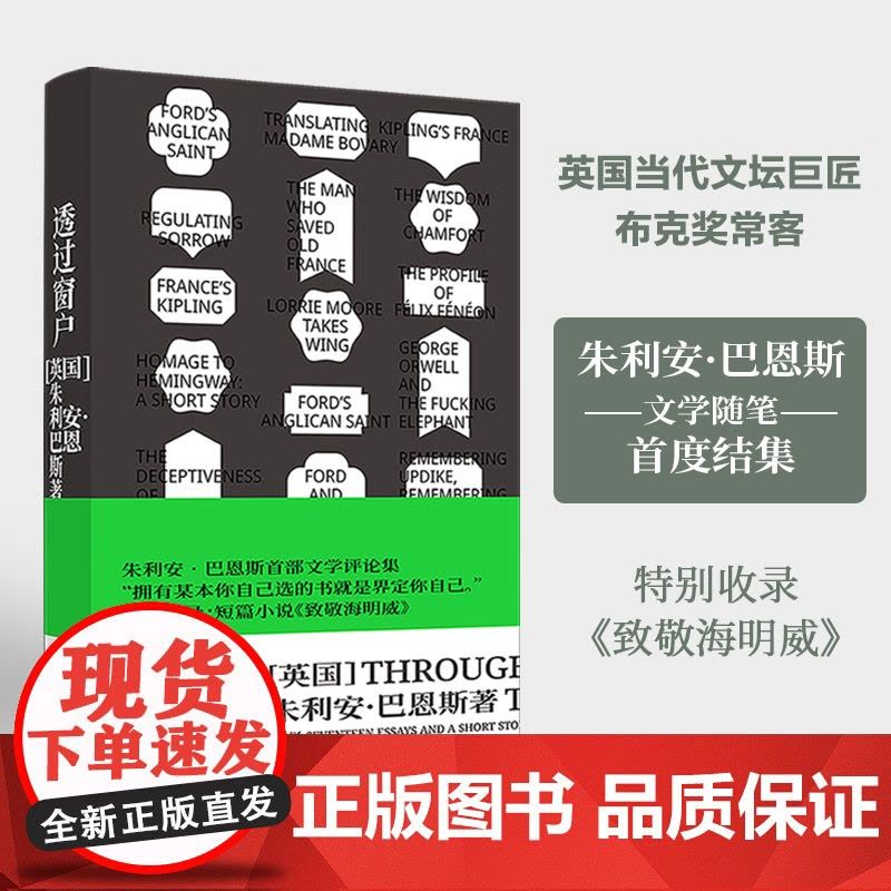 透过窗户 英国文坛“三巨头”、布克奖小说家朱利安·巴恩斯首部文学随笔集,特别收录短篇小说《致敬海明威》译林出版社图片