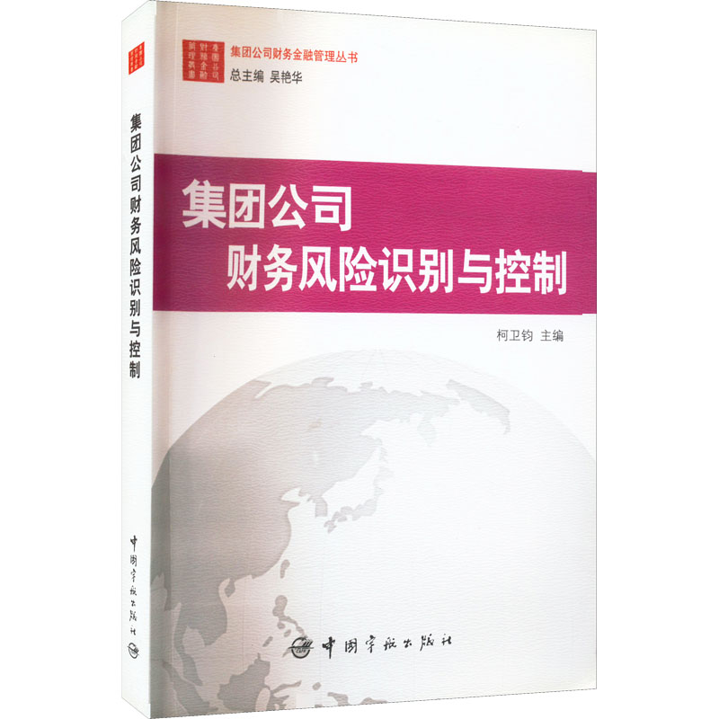 集团公司财务风险识别与控制/集团公司财务金融管理丛书高清大图
