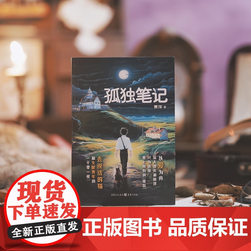 孤独笔记 贾洋 献给千千万万踯躅在人生路口的年轻人 情感奇幻小说高清大图