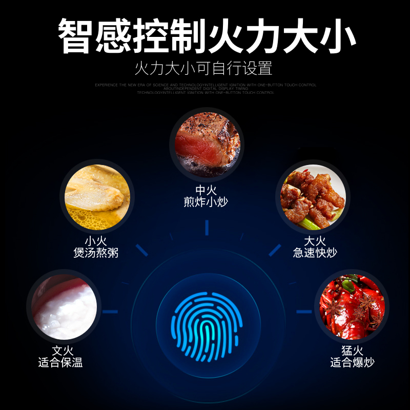 德国欧情燃气灶魔眼智能感应触控开关台式嵌入式家用网红天然气液化气煤气灶多功能猛火大火力燃气双灶炉4.5KW猛火灶