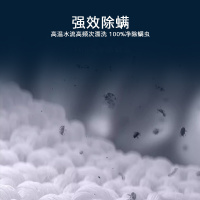 西门子 无界系列 10公斤全自动变频滚筒洗衣机家用 智能除渍 防过敏程序 除菌液洗 支持国家补贴 WG52E1U80W
