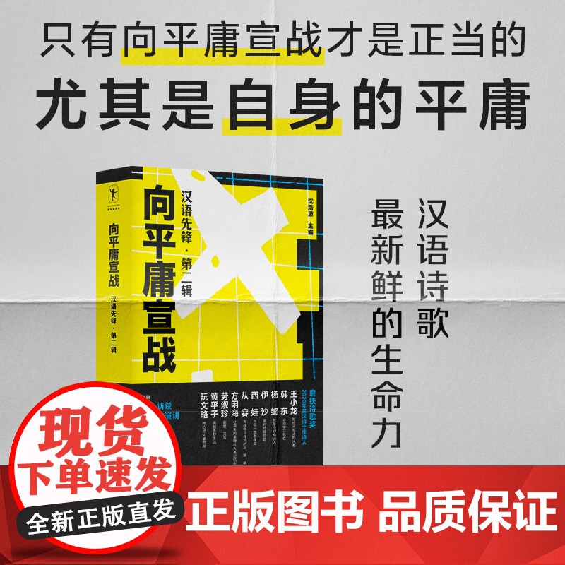 向平庸宣战 汉语先锋 第二辑 沈浩波著高清大图