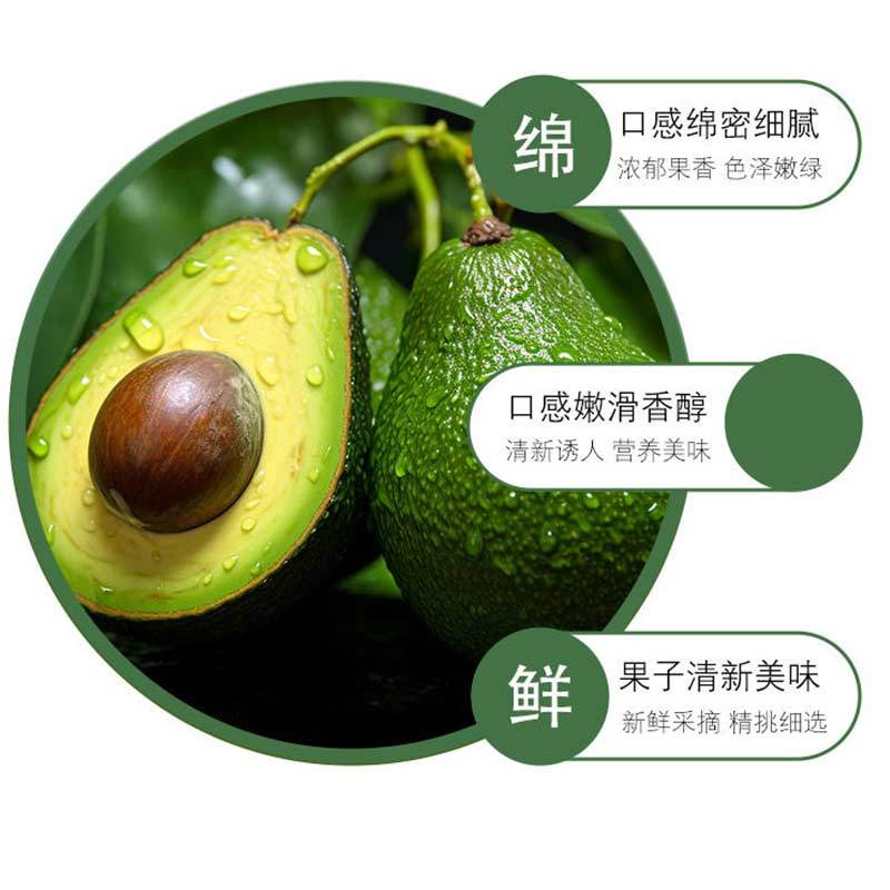 [熊猫鸟]进口新鲜牛油果 进口新鲜水果 10个装 单果190g-220g高清大图