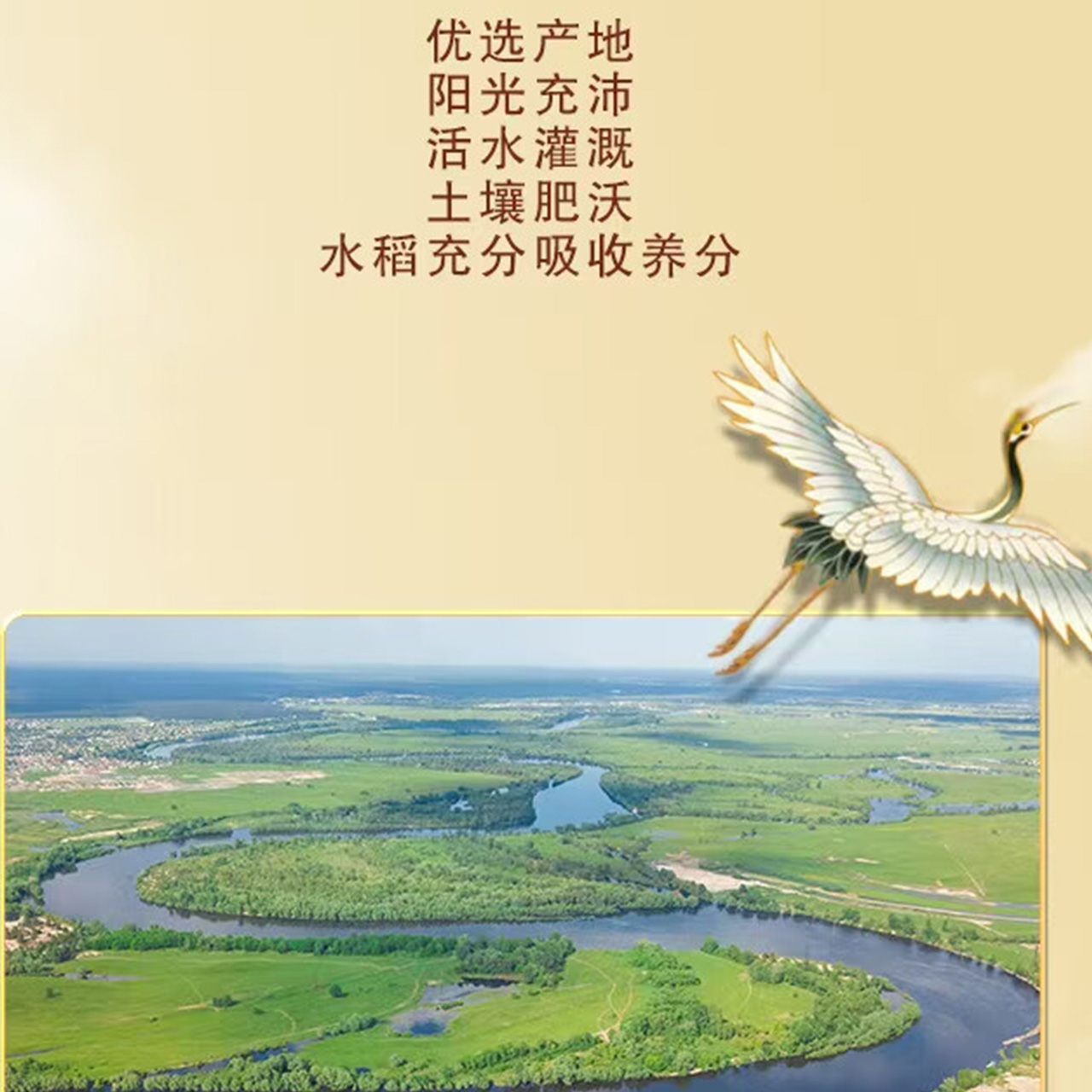 金龙鱼 御鲜长粒香大米 5kg/袋高清大图