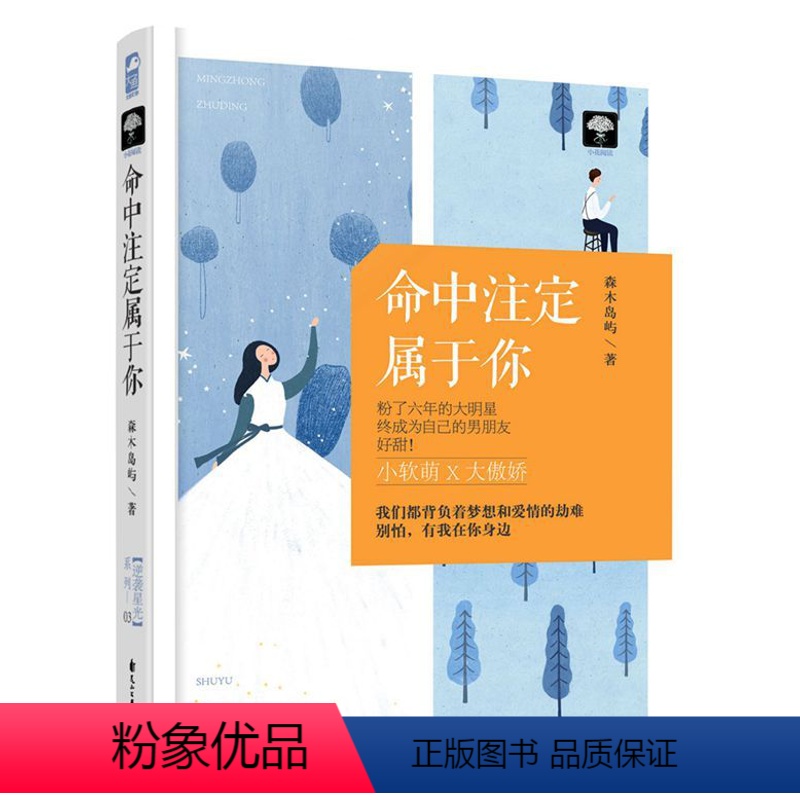 [正版] 命中注定属于你 森木岛屿 爱情小说书籍 大鱼文化小花阅读系列现代甜宠文小说言情小书 青春文学成功励志书籍女高清大图