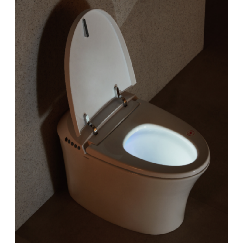 arrow箭牌/轻智能坐便器(侧按单档)/af6010/dj