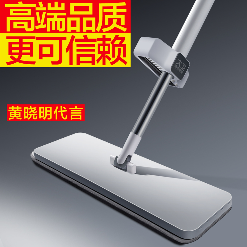 大卫拖把P10高清大图