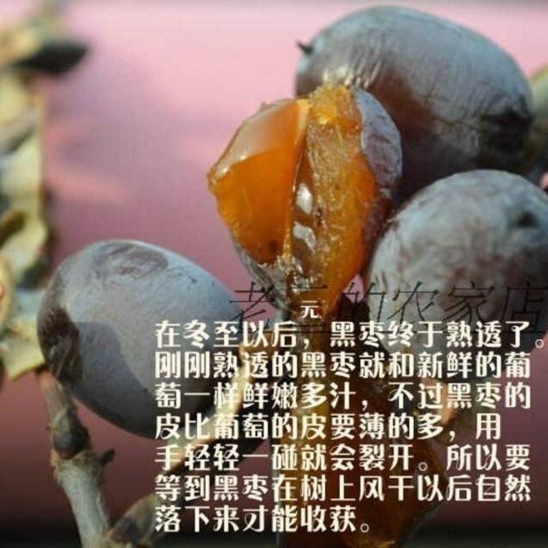 无核一斤(1袋*500g) 店主推荐软枣圆枣无核软枣黑枣小柿子圆枣小柿饼200g/500g多规格