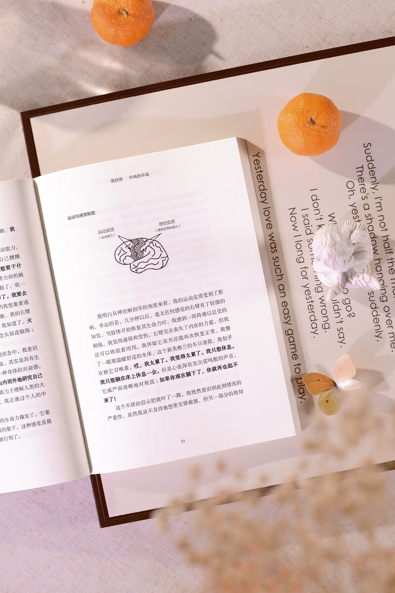 [正版]半脑世界 一位脑科学家的中风体验 吉尔·泰勒 著 身为脑科学家自己大脑却出现问题 8年康复人生大起大落 罕见的高清大图