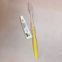 一次性牙刷牙膏套装（ 100套）