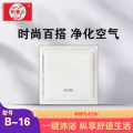 戴回尔 智能电器（B-16）集成吊顶吹风换气二合一换气扇