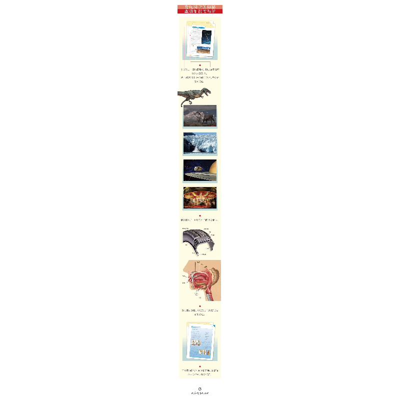 醉染图书人类1(发现科学百科全书)9787532654475高清大图