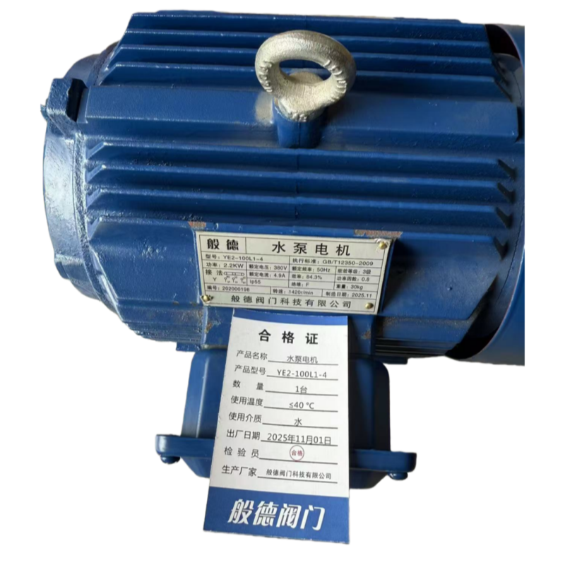般德 水泵电机 YE2-100L1-4 台高清大图