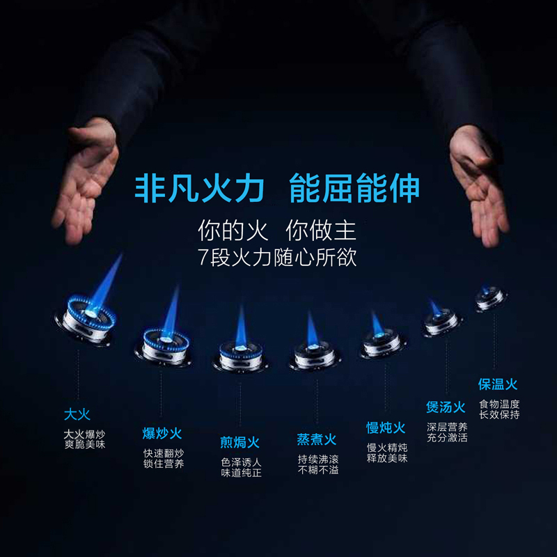 樱花(SAKURA)燃气灶双灶 一级能效 节能灶具 台嵌两用 不锈钢灶具 自营JZT-BDG01天然气高清大图