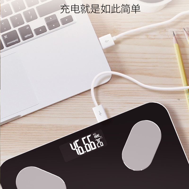 拓栢智能体脂秤TBB22/个高清大图