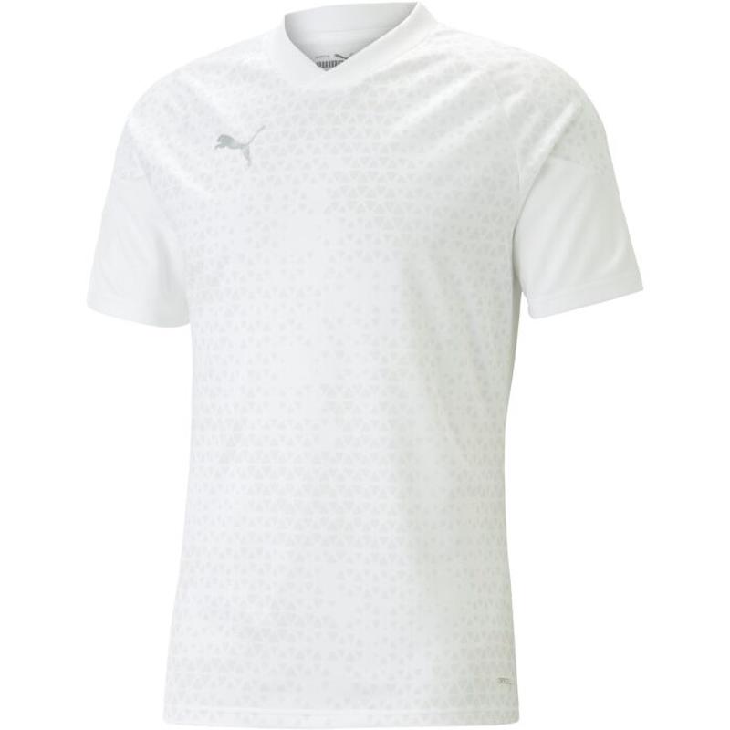 彪马(Puma)男士运动T恤透气排汗压缩干爽训练服团队杯比赛套装球
