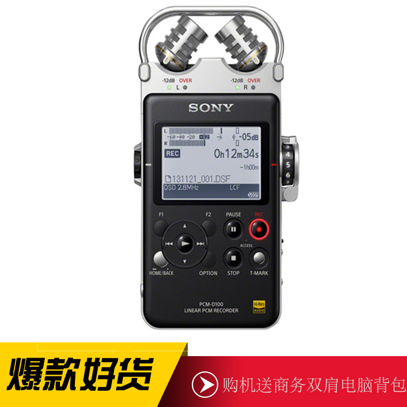 索尼(SONY) 线性PCM录音棒PCM-D100 线性PCM录音笔 专业DSD格式录音 DSD格式播放